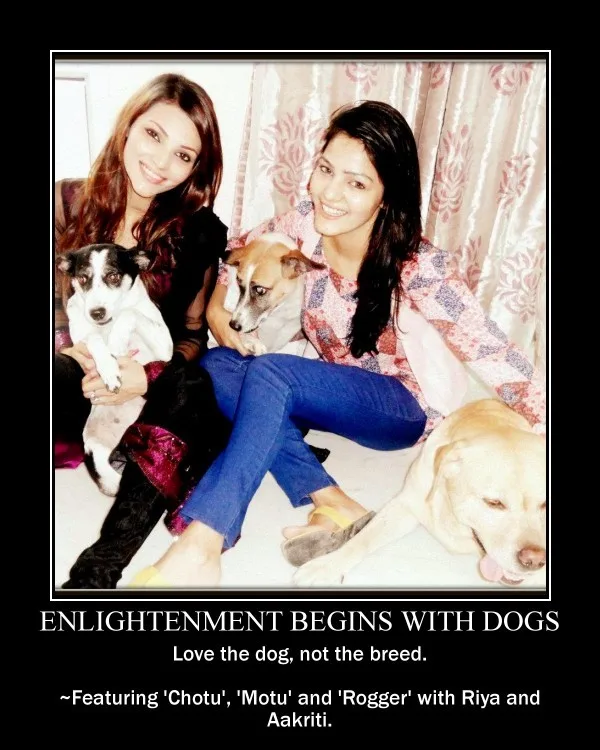 Love the dog, not the breed, How enlightened are you?