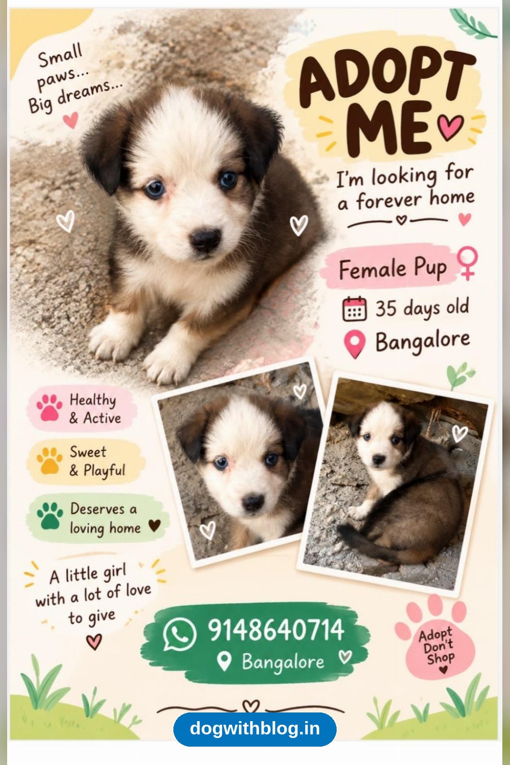 A 35-Day-Old Female Puppy Needs a Home — Bengaluru