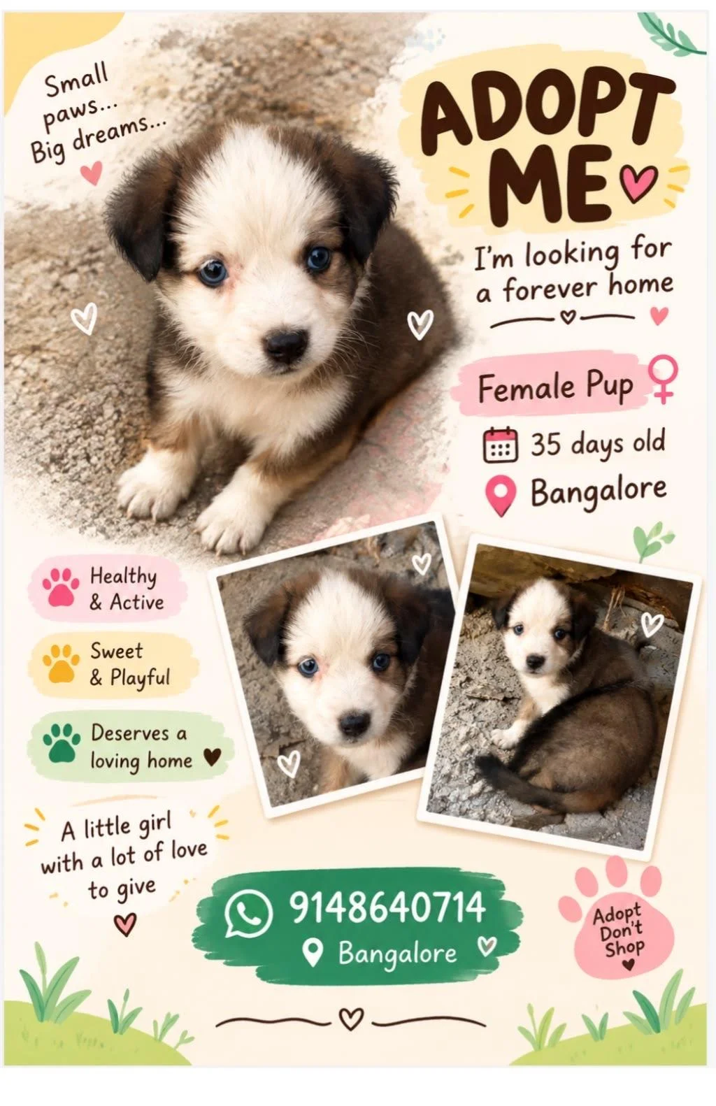 A 35-Day-Old Female Puppy Needs a Home in Bengaluru