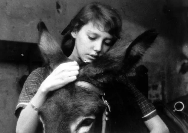 movie review Au Hasard Balthazar