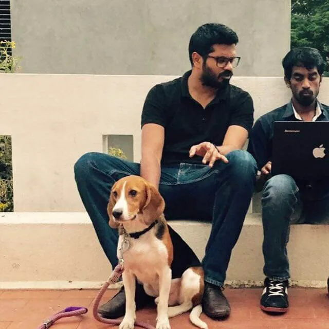 Beagle who found home