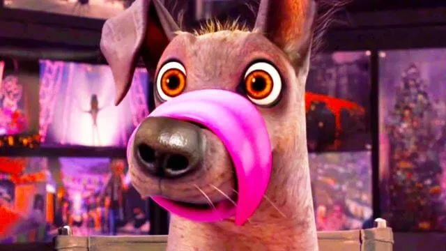 coco movie dog