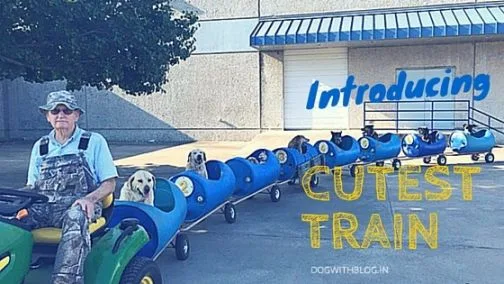 most awesome train