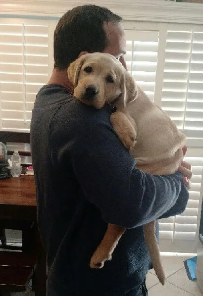 The promotion dog story