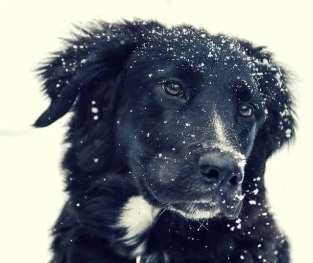 Winter is coming