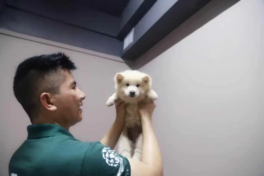 dog save Yulin