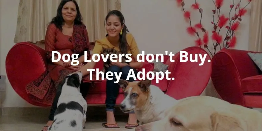 short story from the dog - dog lovers adopt
