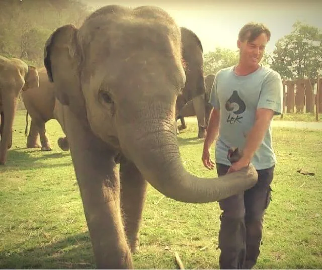 baby elephants human