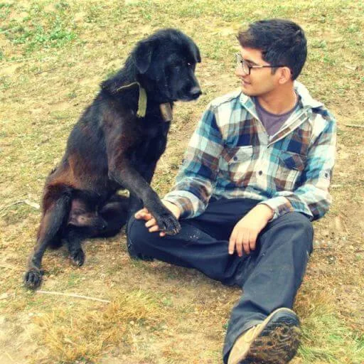 The Dog Who Knew Me