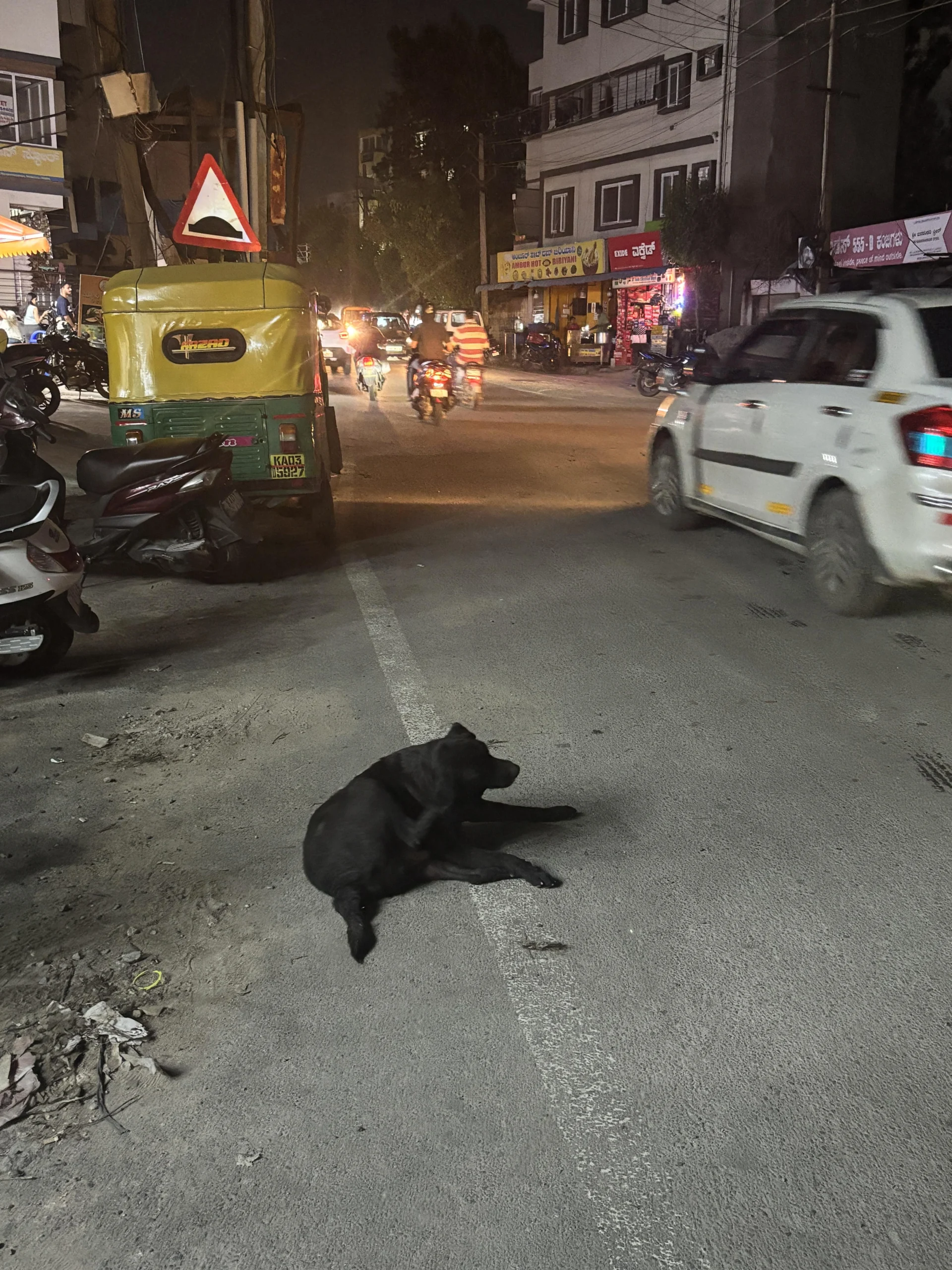 An old black Labrador lying in the middle of a busy street at night in HSR Layout, Bengaluru, with traffic passing around him.
