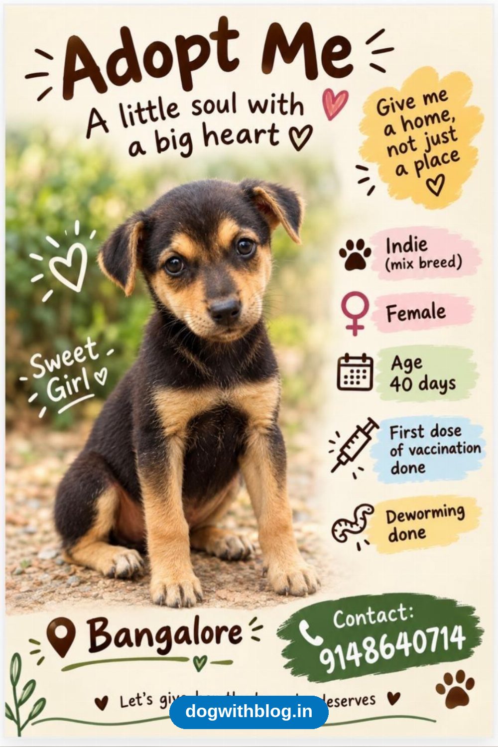 A 40-Day-Old Indie Puppy Girl Looking for a Home — Bengaluru