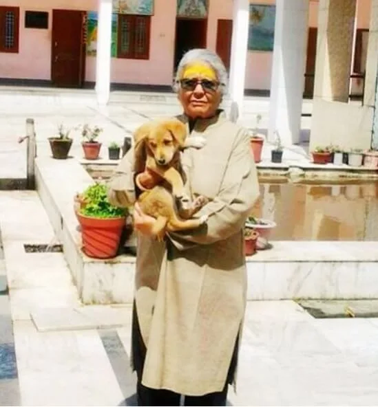 I am not a dog owner