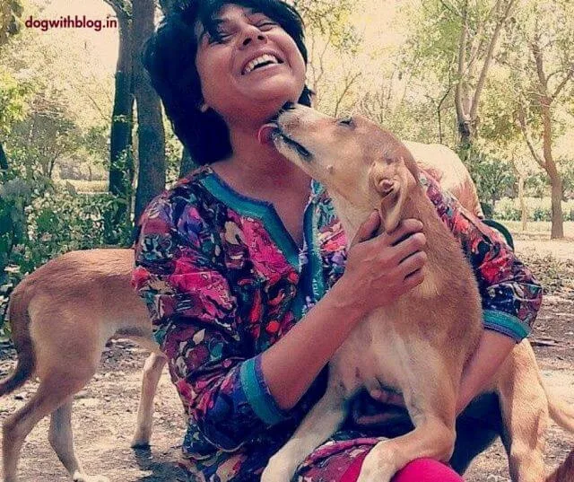 Happy Friendship Day Dog Lovers