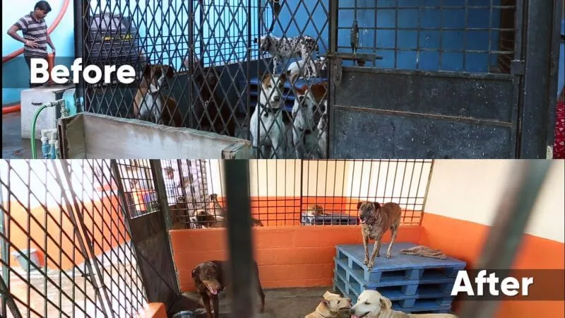 CUPA Second Chance Adoption Centre