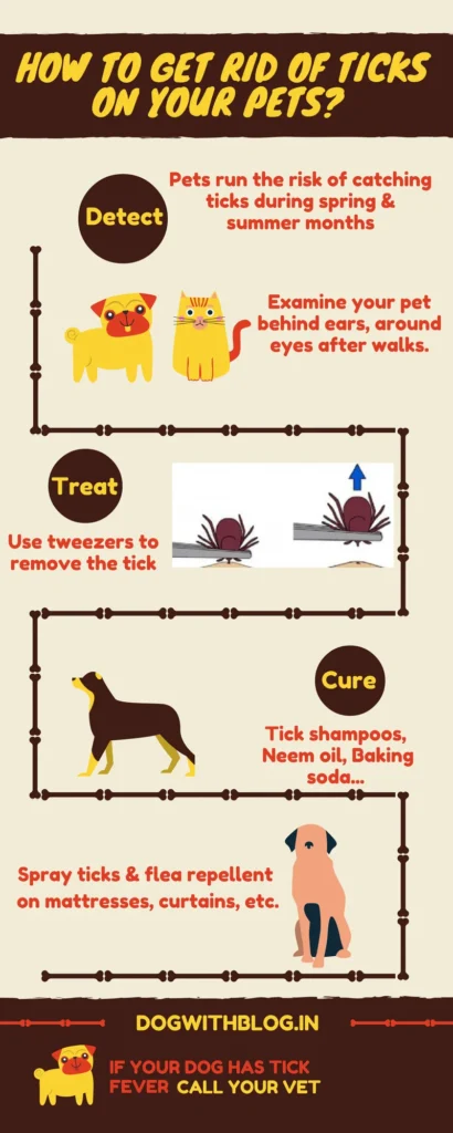 how to remove ticks on dogs