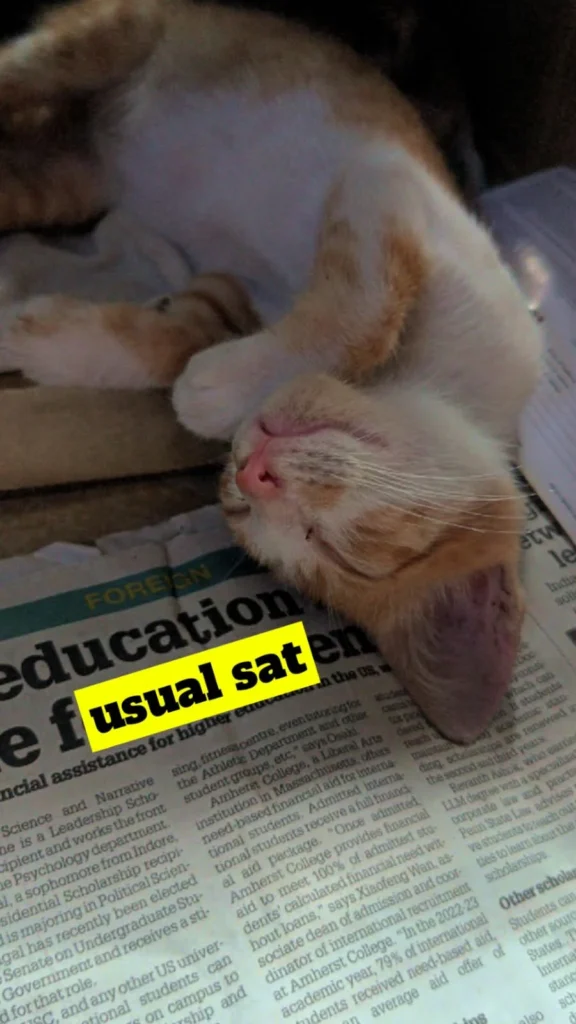 A ginger and white kitten lying on its back, asleep on a newspaper