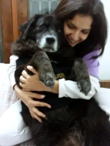 the dog who loved me