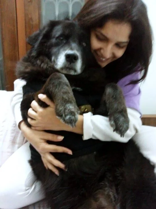 the dog who loved me
