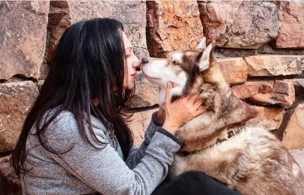 Dogs Are A Girl