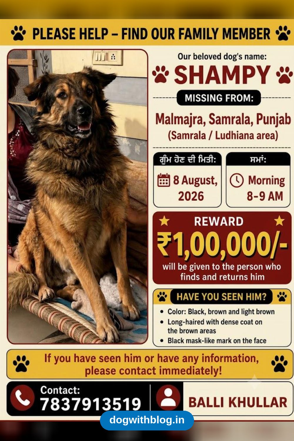 Lost Dog — Shampy, Missing from Samrala Since 8 August — Ludhiana