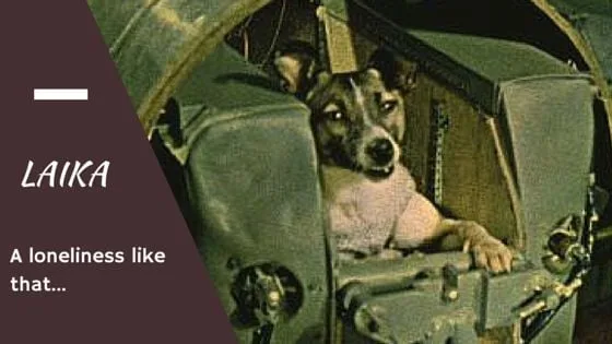 Laika come home