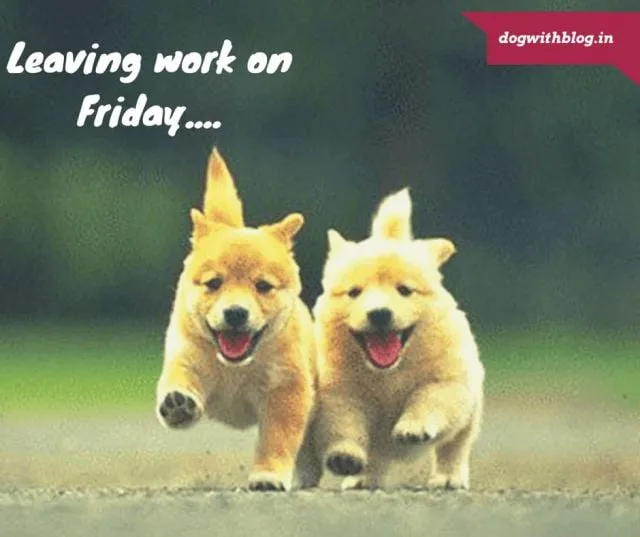 leaving work on friday