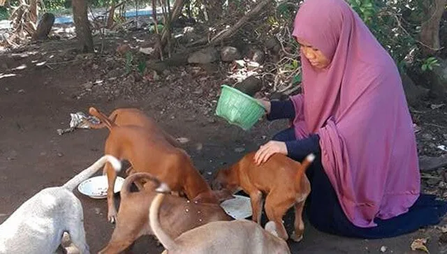 muslim woman dog lover