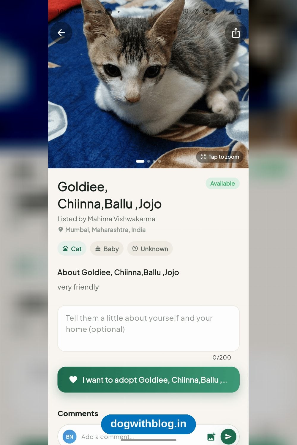 Goldiee, Chiinna, Ballu and Jojo, Four Kittens, Need a Home — Mumbai