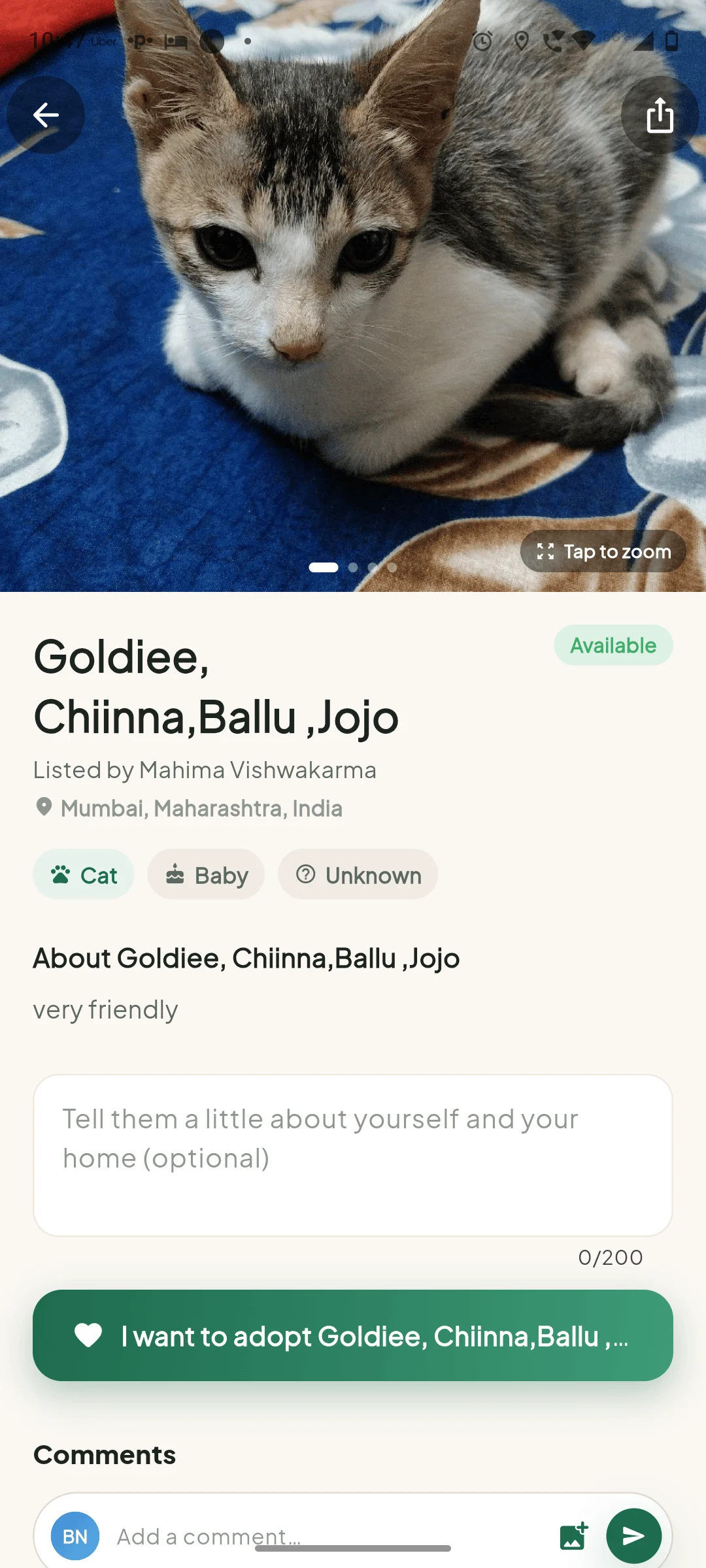 Goldiee, Chiinna, Ballu and Jojo, Four Kittens, Need a Home in Mumbai