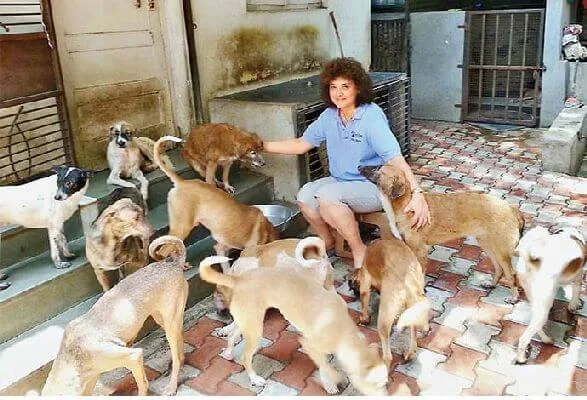 Pune dog lover