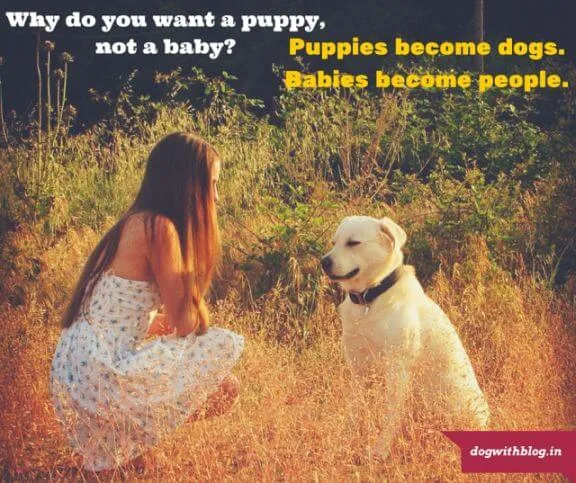 why world is choosing between puppy or baby? puppies are better than babies