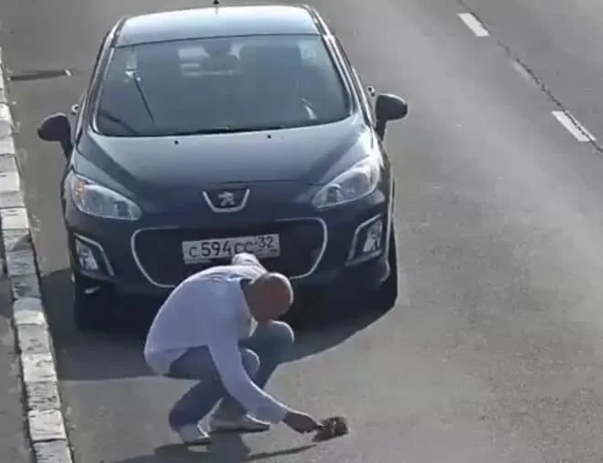 Russian man rescues kitten