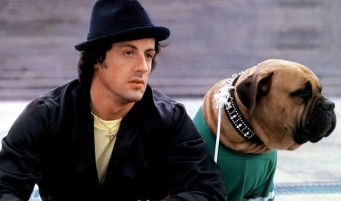 Sylvester Stallone