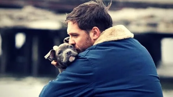Tom hardy dog lover