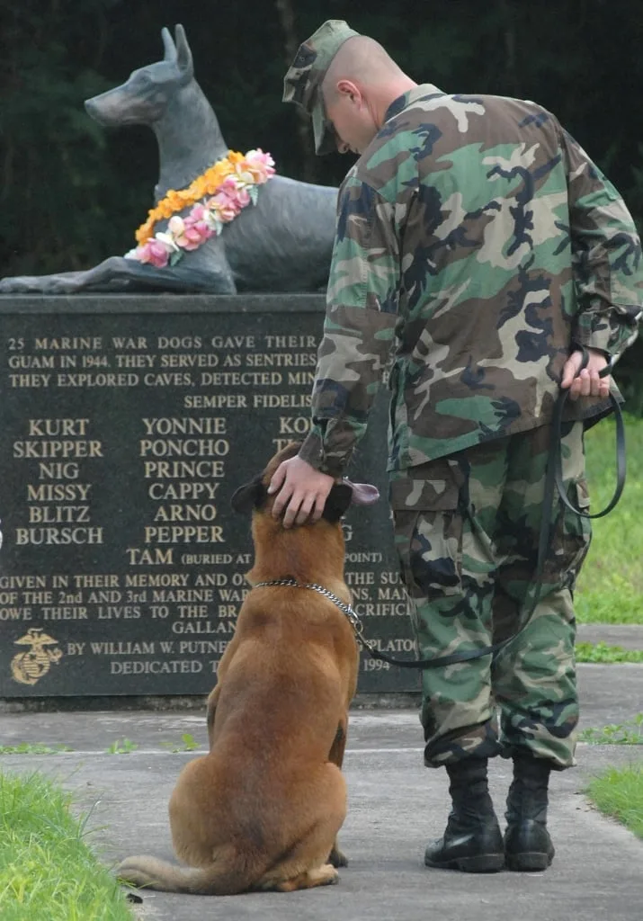 war dog cemetery monument, war dogs, dogs helped capture Osama bin laden