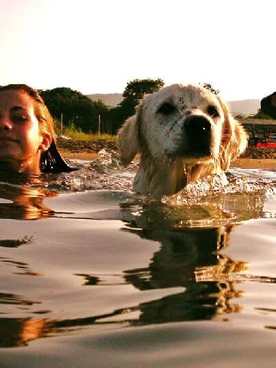 exercise with your dog