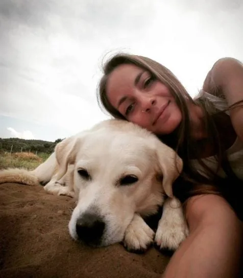 dog safe from mosquito