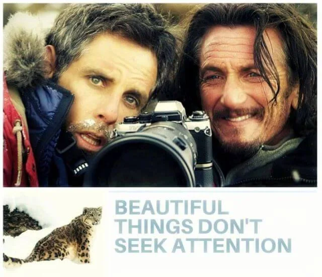 Walter Mitty Beautiful things don