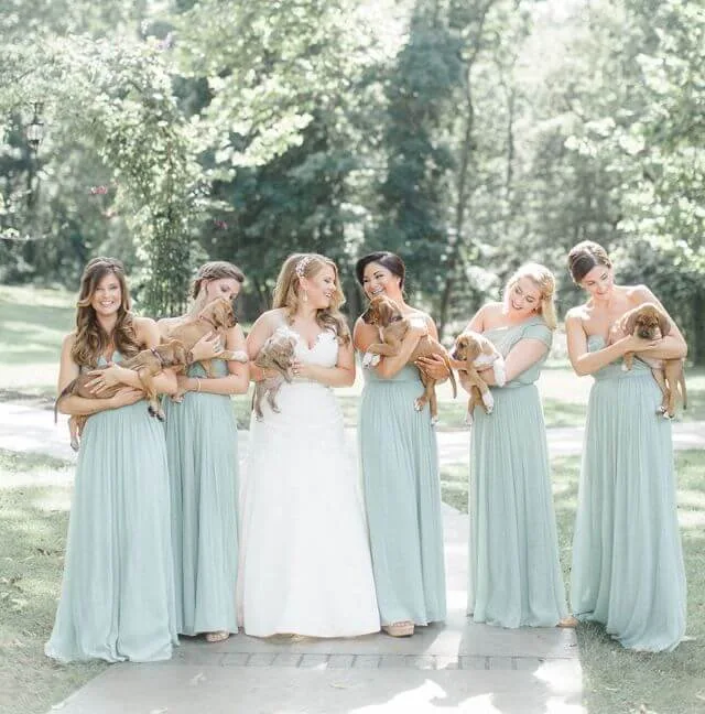bride chose Puppies Instead of Flowers