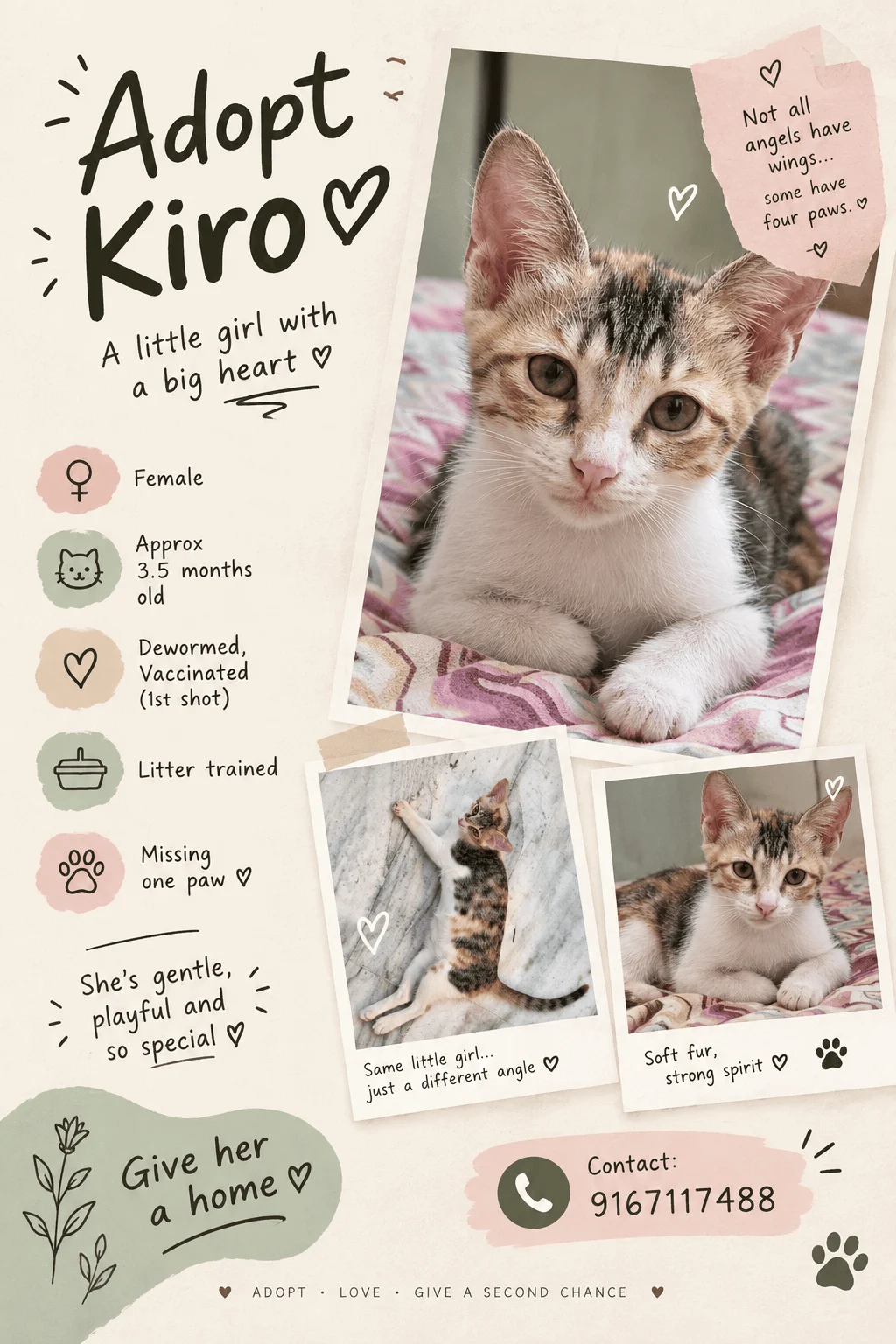 Adoption poster for Kiro, a 3.5-month-old female kitten in Mumbai missing one paw, sitting on a pink blanket