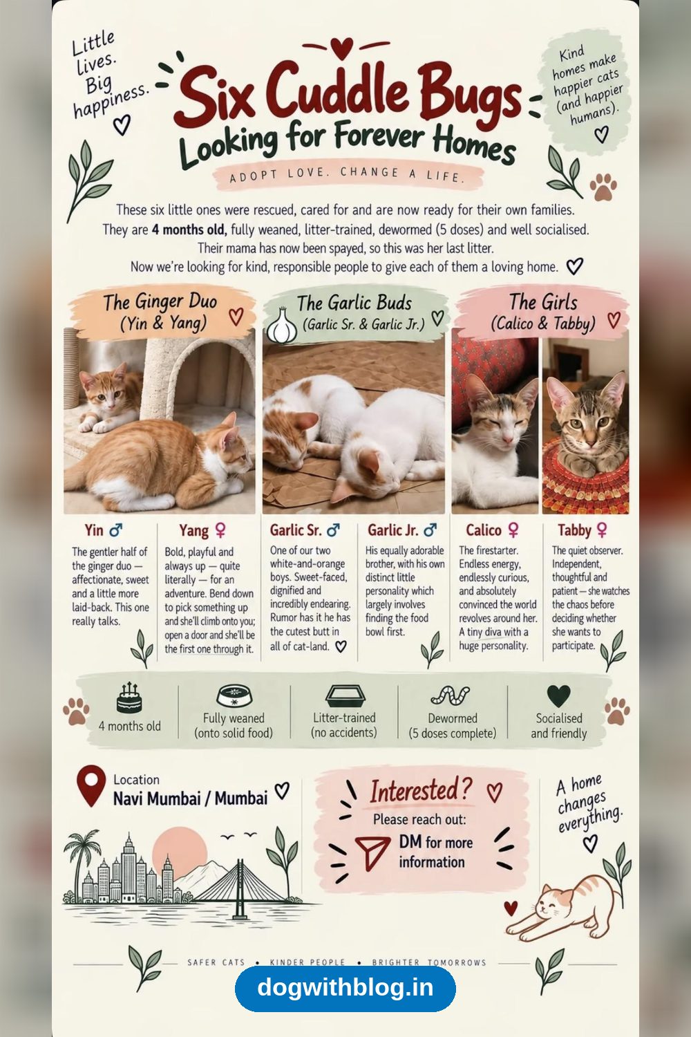 Yin, Yang And Four Littermates Need Homes — Mumbai