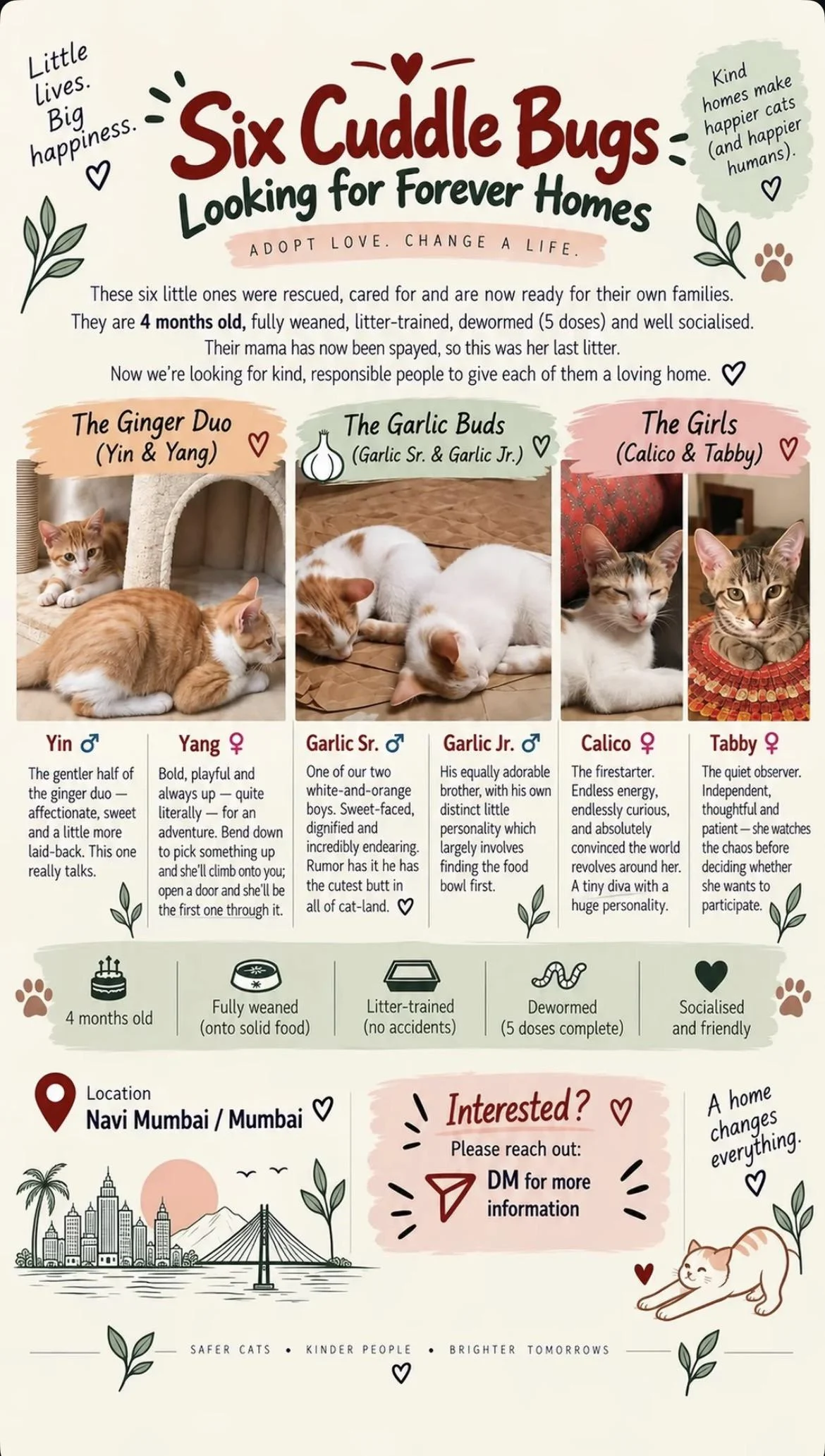 Yin, Yang And Four Littermates Need Homes in Mumbai