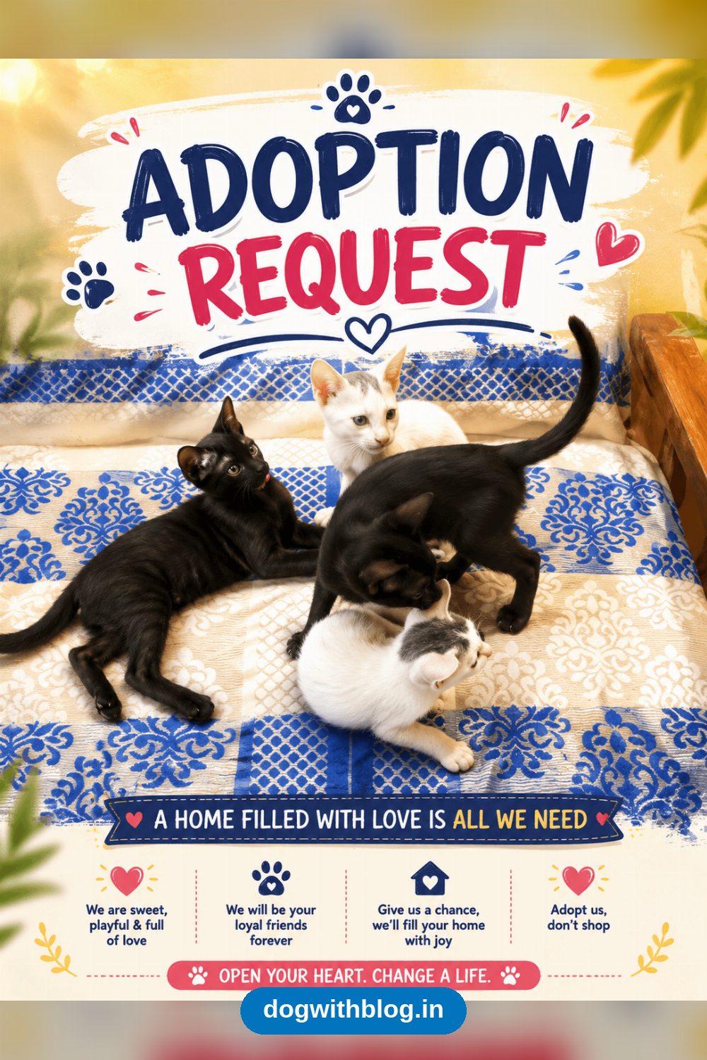 Navalur Kittens Are Ready for New Homes — Chennai