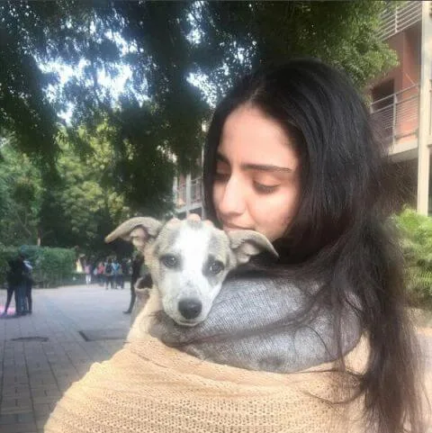 what is your dog