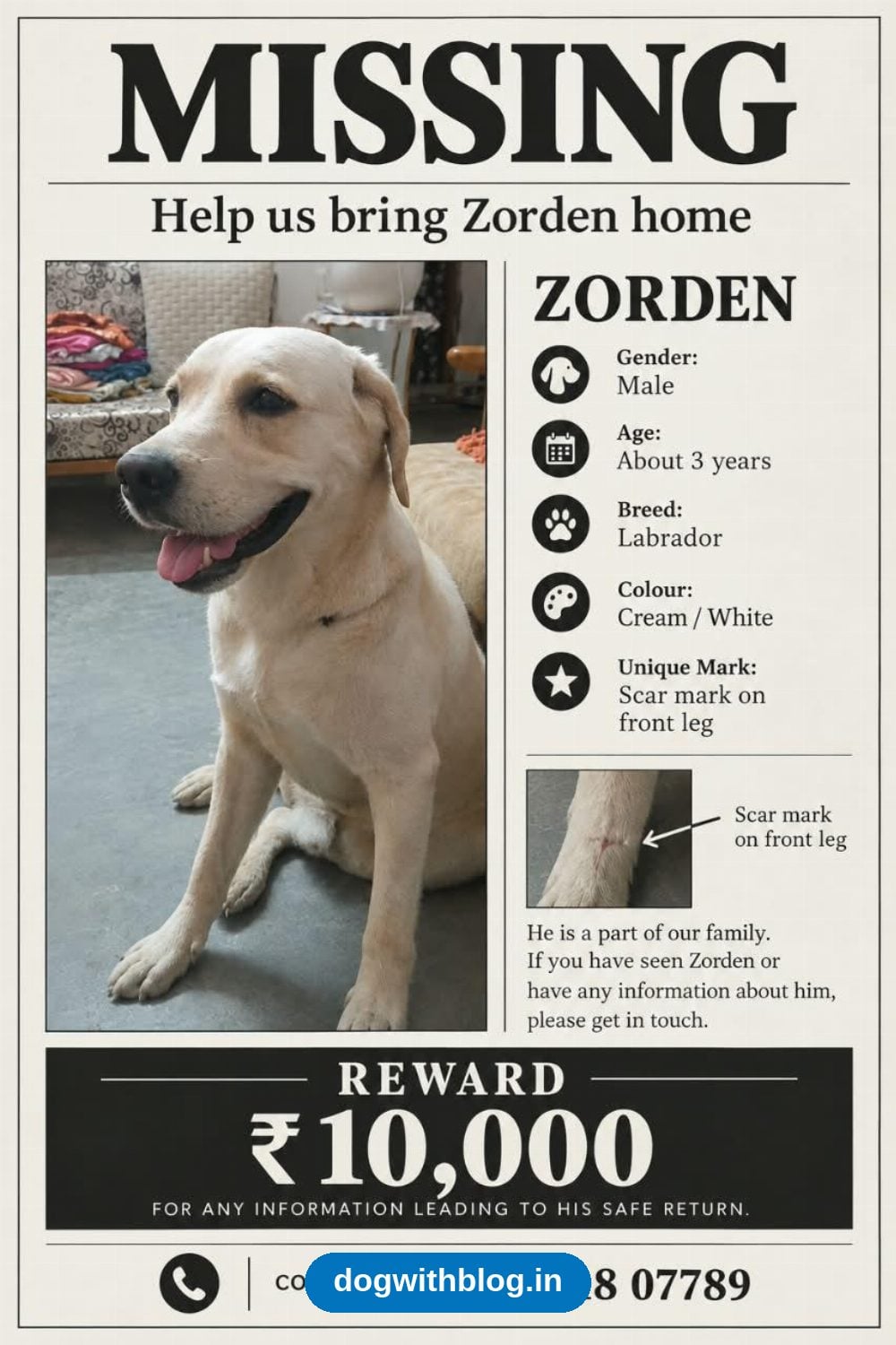 Lost Dog — Zorden — Delhi NCR