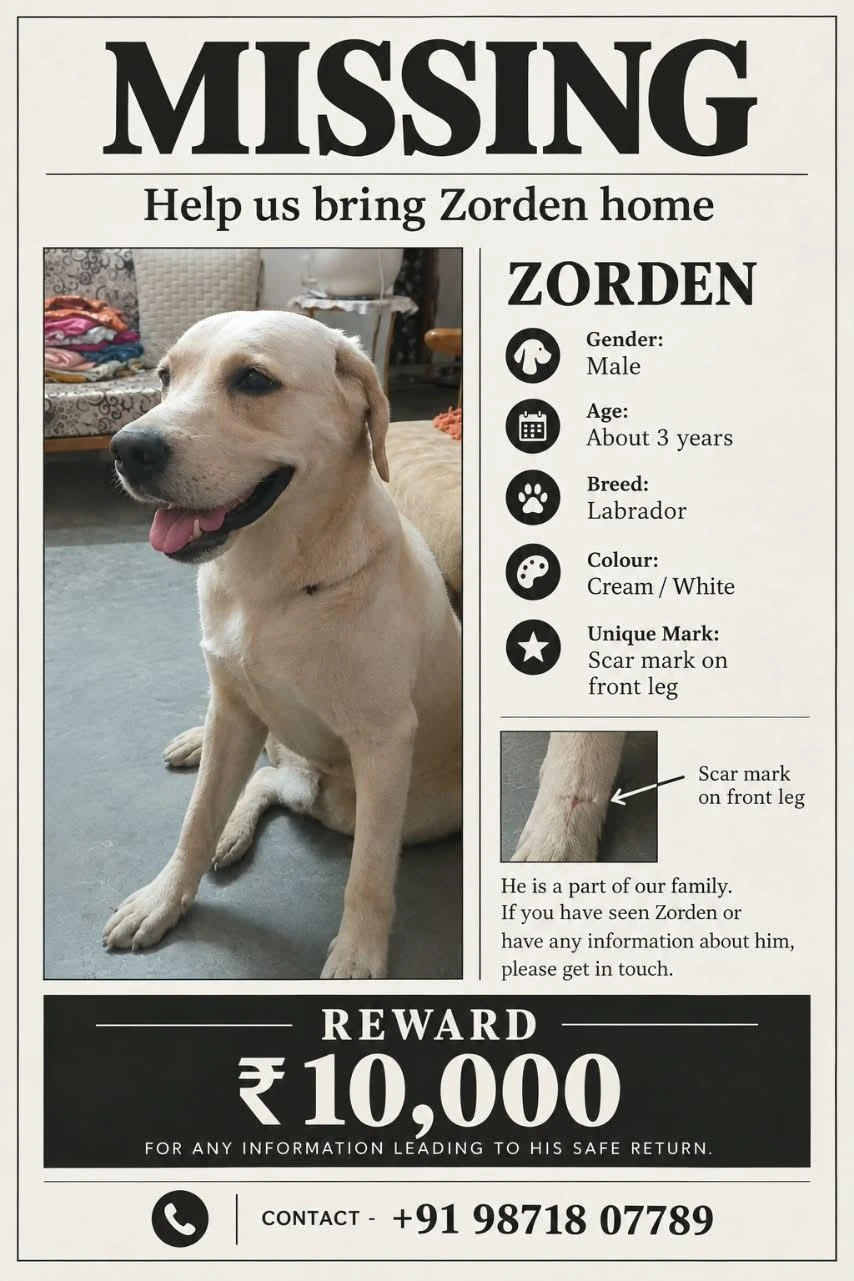 Zorden, a lost dog last seen near Ruby Enclave, Loni, Ghaziabad.