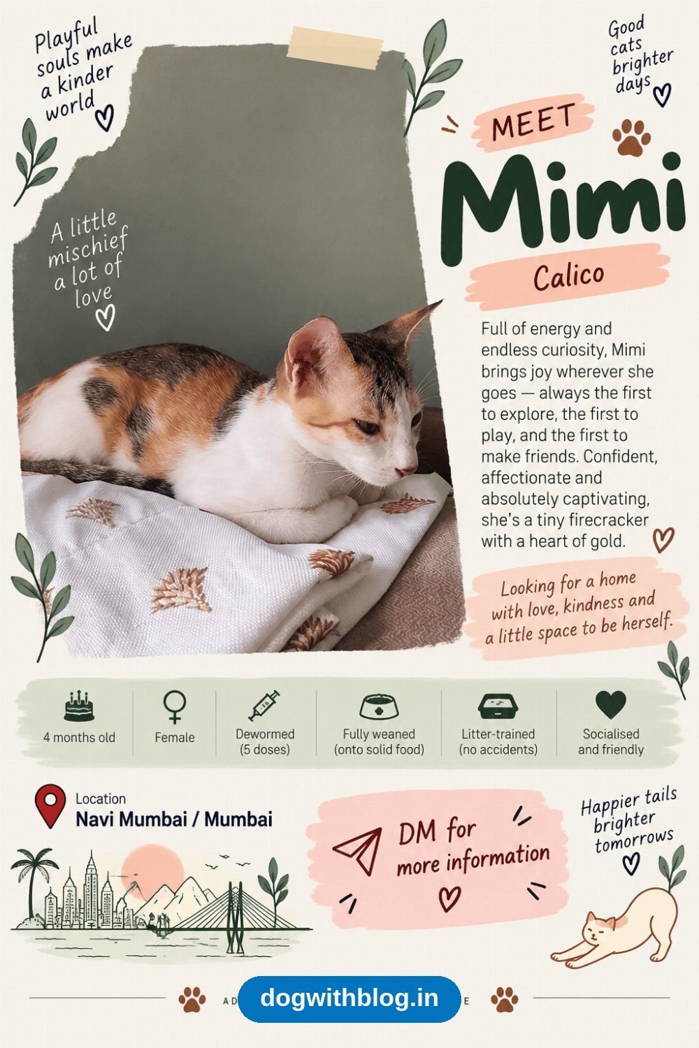 Mimi and Nori, Two 6-Month-Old Kitten Sisters, Need Homes in Navi Mumbai
