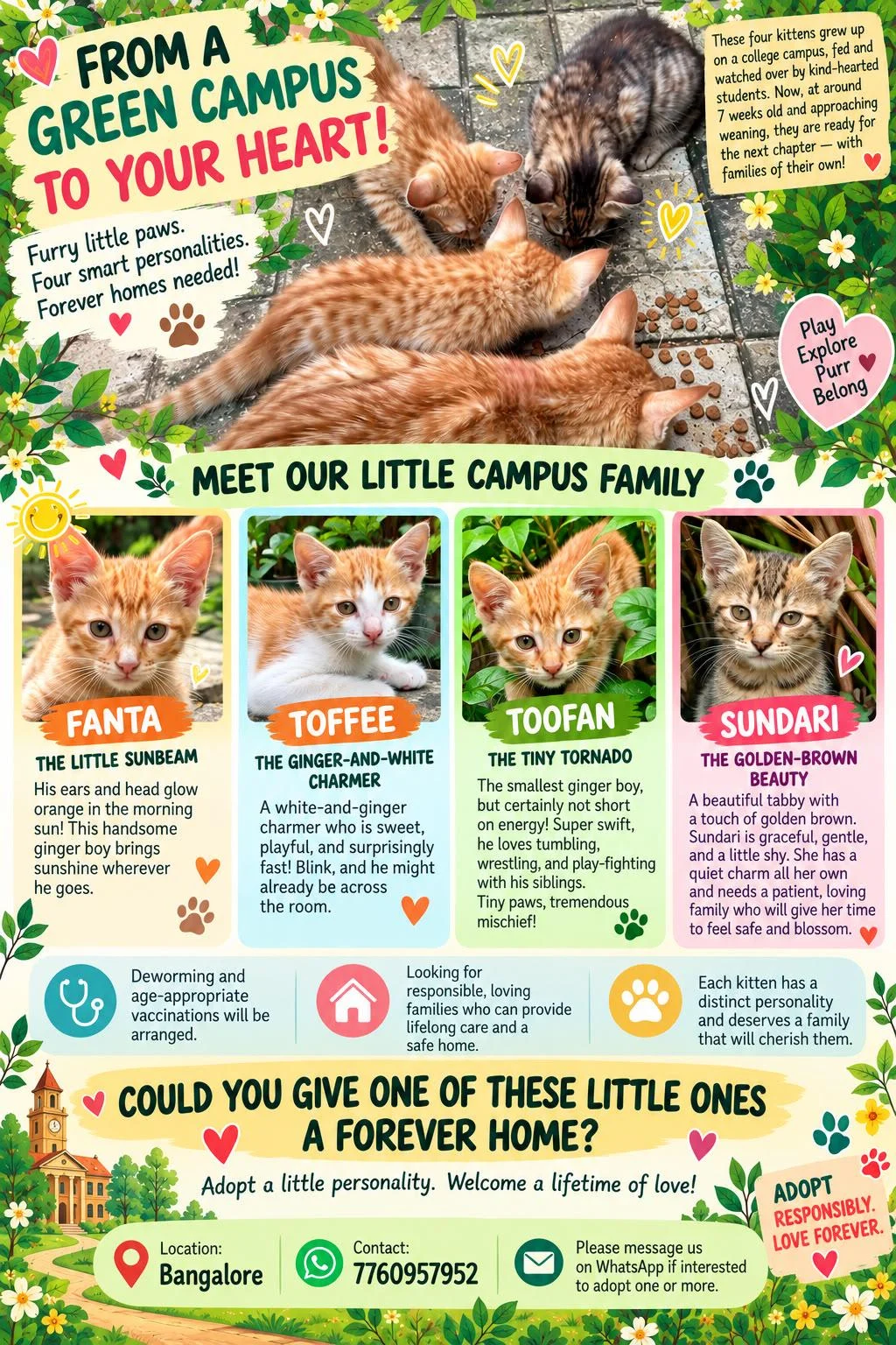 Four Campus Kittens, About 7 Weeks Old, Need Homes in Bengaluru