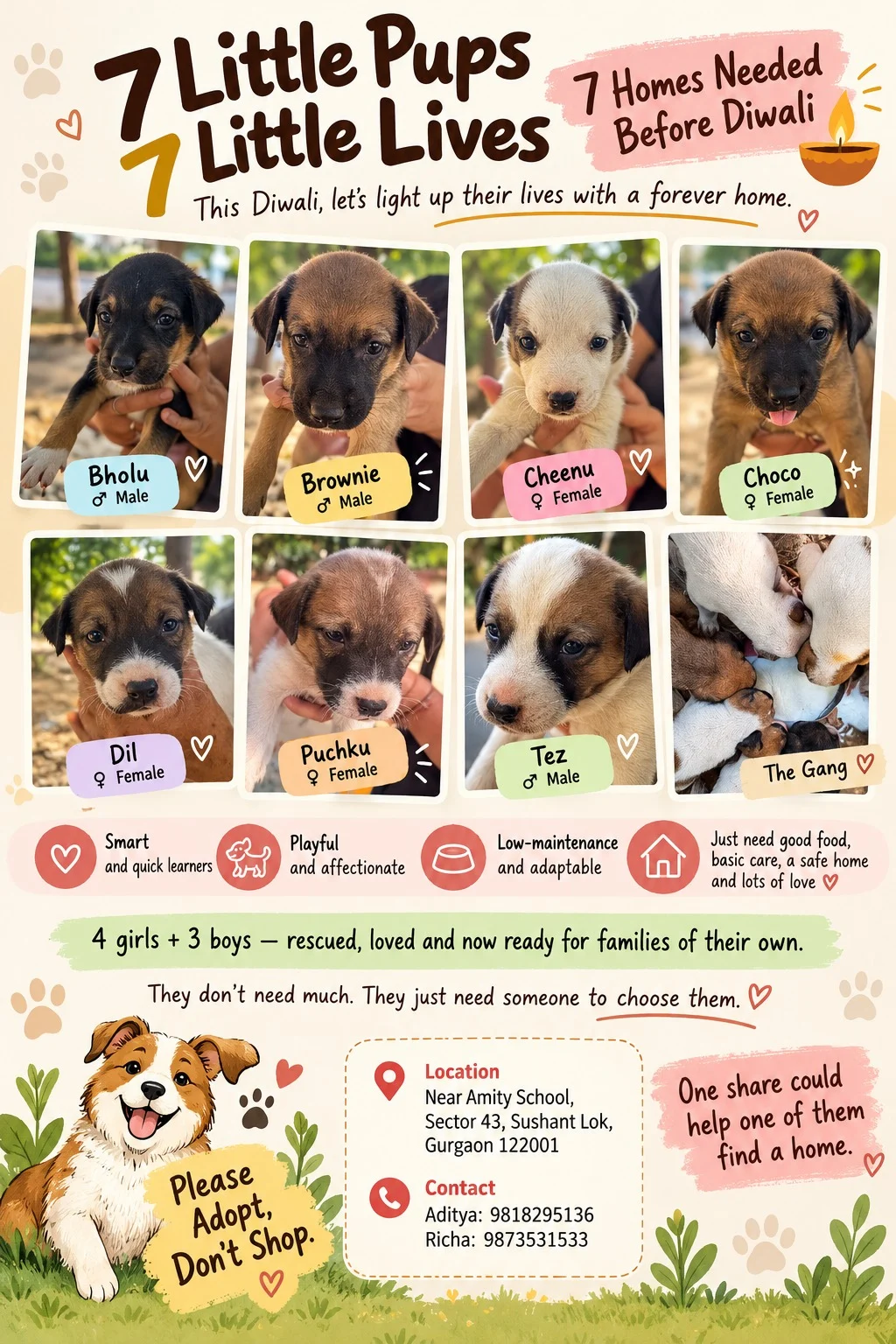 Seven Gurgaon Pups Need Homes Before Diwali in Delhi NCR