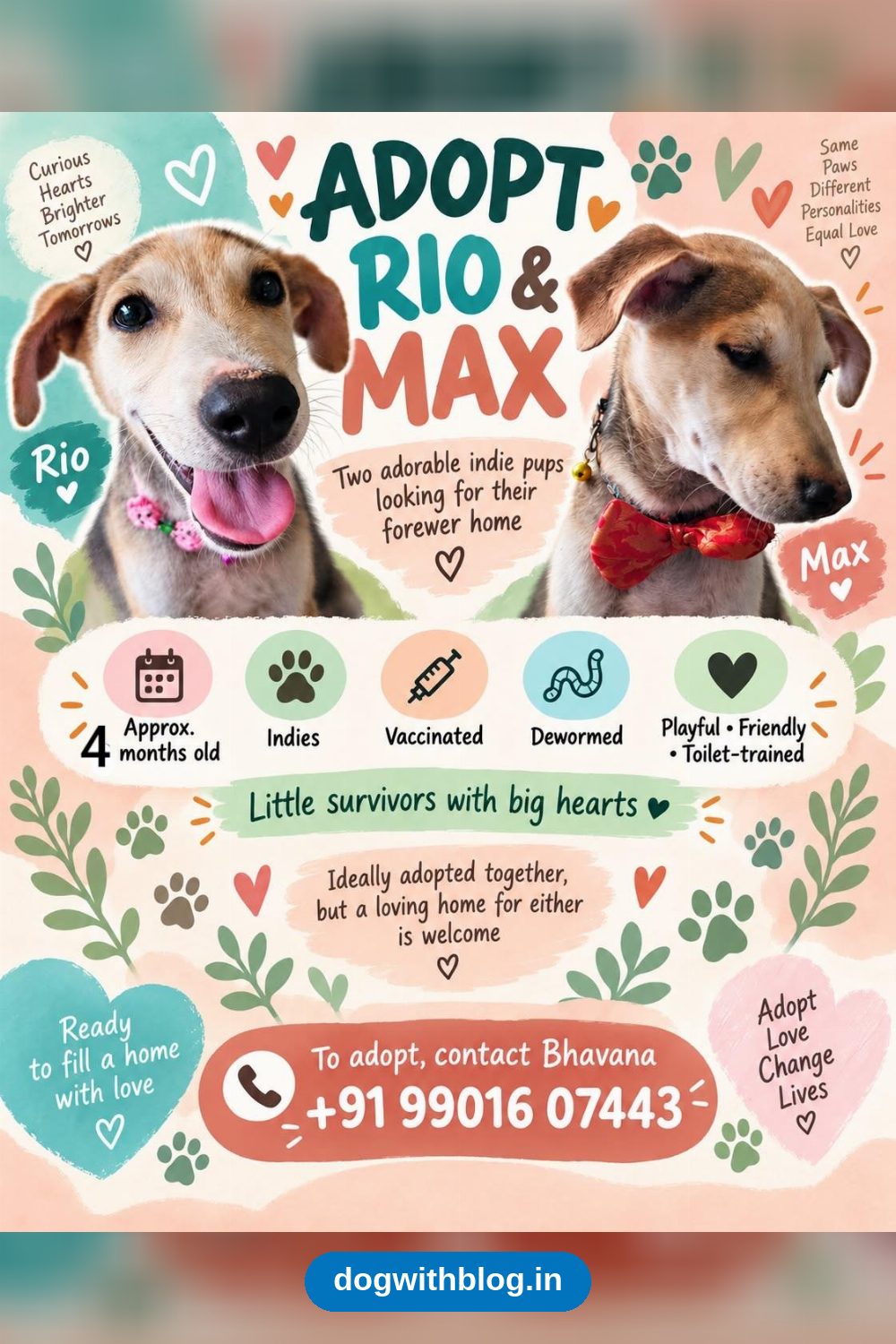 Rio and Max, Two 4-Month-Old Indie Pups